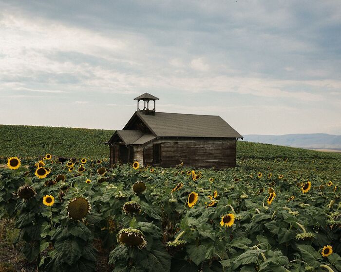 55 Eerie Photos Of Abandoned Places And Forgotten Corners Of America By Brendon Burton 55 Eerie Photos Of Abandoned Places And Forgotten Corners Of America By Brendon Burton