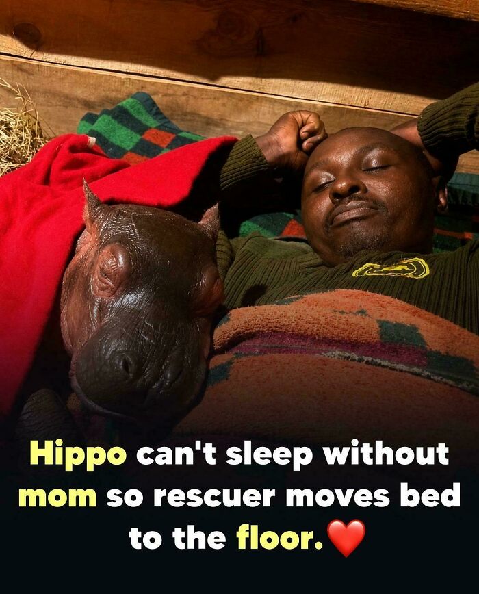 57 Amazing And Wholesome Posts To Restore Your Faith In Humanity