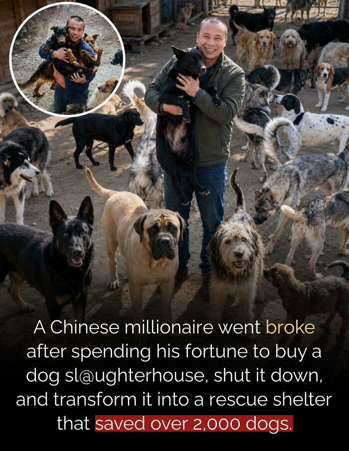 57 Amazing And Wholesome Posts To Restore Your Faith In Humanity