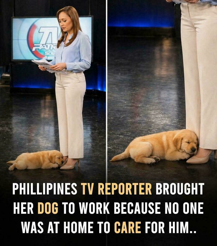 57 Amazing And Wholesome Posts To Restore Your Faith In Humanity