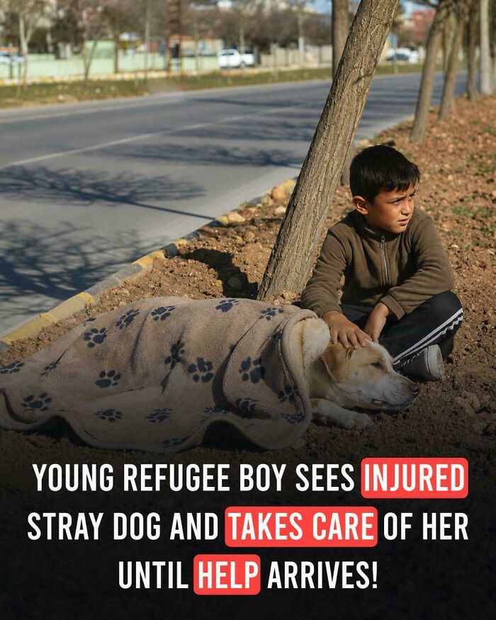 57 Amazing And Wholesome Posts To Restore Your Faith In Humanity