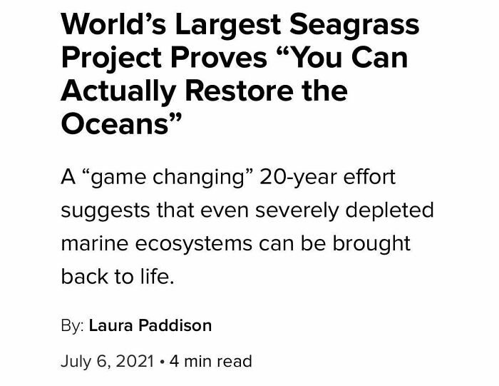 57 Amazing And Wholesome Posts To Restore Your Faith In Humanity