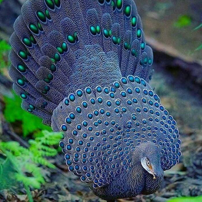 This Page Shared 80 Rare Bird Photos That Showcase The Beauty Of Nature In Flight This Page Shared 80 Rare Bird Photos That Showcase The Beauty Of Nature In Flight