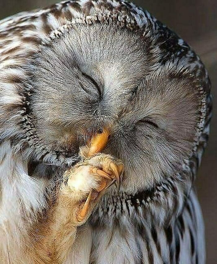 This Page Shared 80 Rare Bird Photos That Showcase The Beauty Of Nature In Flight This Page Shared 80 Rare Bird Photos That Showcase The Beauty Of Nature In Flight