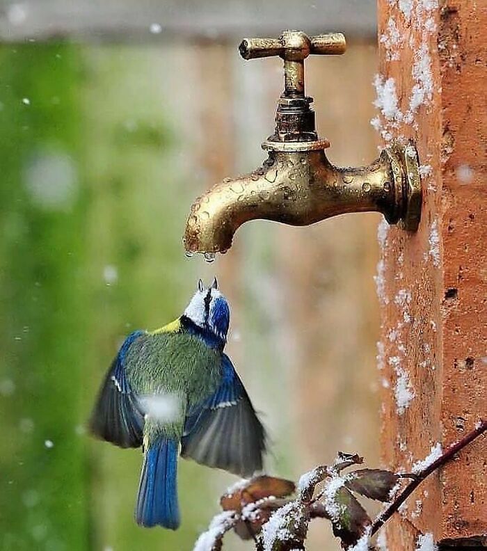This Page Shared 80 Rare Bird Photos That Showcase The Beauty Of Nature In Flight This Page Shared 80 Rare Bird Photos That Showcase The Beauty Of Nature In Flight