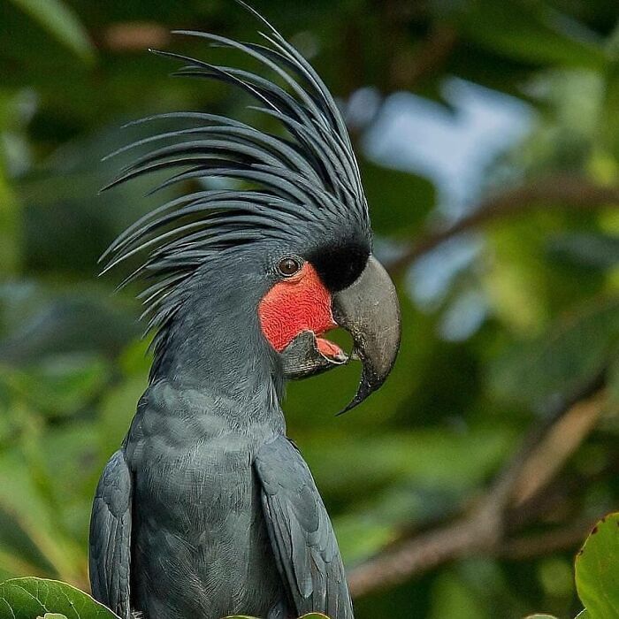 This Page Shared 80 Rare Bird Photos That Showcase The Beauty Of Nature In Flight This Page Shared 80 Rare Bird Photos That Showcase The Beauty Of Nature In Flight