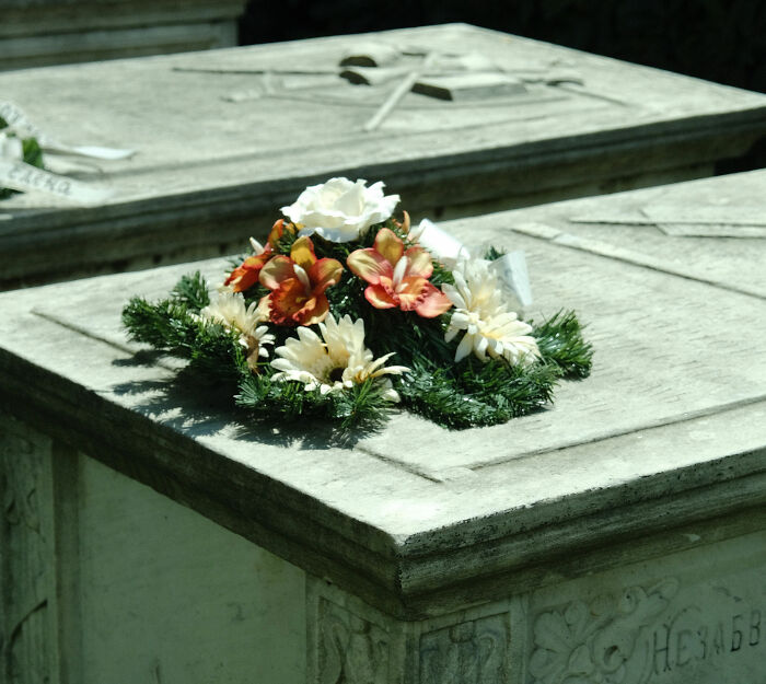 Rope Jumper Faces Final Indignity In Burial After Staff Forget To Attach Rope Before Throwing Her Off Bridge Rope Jumper Faces Final Indignity In Burial After Staff Forget To Attach Rope Before Throwing Her Off Bridge