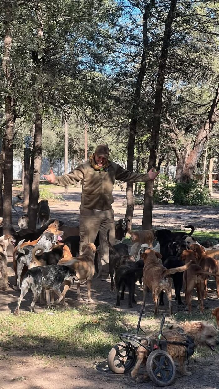 This Man Has Dedicated Years Of His Life To Caring For More Than 600 Rescue Dogs (27 Pics) This Man Has Dedicated Years Of His Life To Caring For More Than 600 Rescue Dogs (27 Pics)
