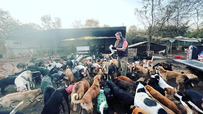 This Man Has Dedicated Years Of His Life To Caring For More Than 600 Rescue Dogs (27 Pics) This Man Has Dedicated Years Of His Life To Caring For More Than 600 Rescue Dogs (27 Pics)