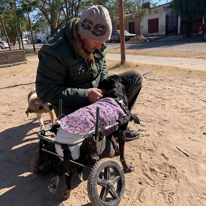This Man Has Dedicated Years Of His Life To Caring For More Than 600 Rescue Dogs (27 Pics) This Man Has Dedicated Years Of His Life To Caring For More Than 600 Rescue Dogs (27 Pics)
