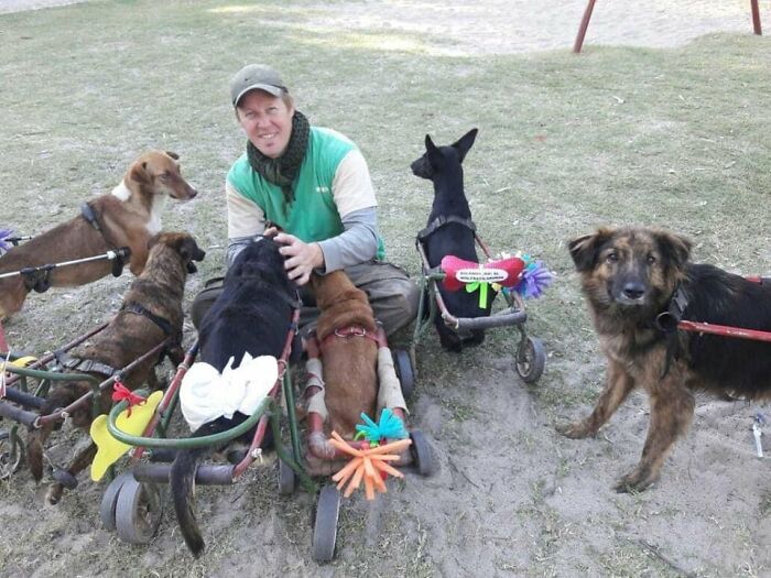 This Man Has Dedicated Years Of His Life To Caring For More Than 600 Rescue Dogs (27 Pics) This Man Has Dedicated Years Of His Life To Caring For More Than 600 Rescue Dogs (27 Pics)
