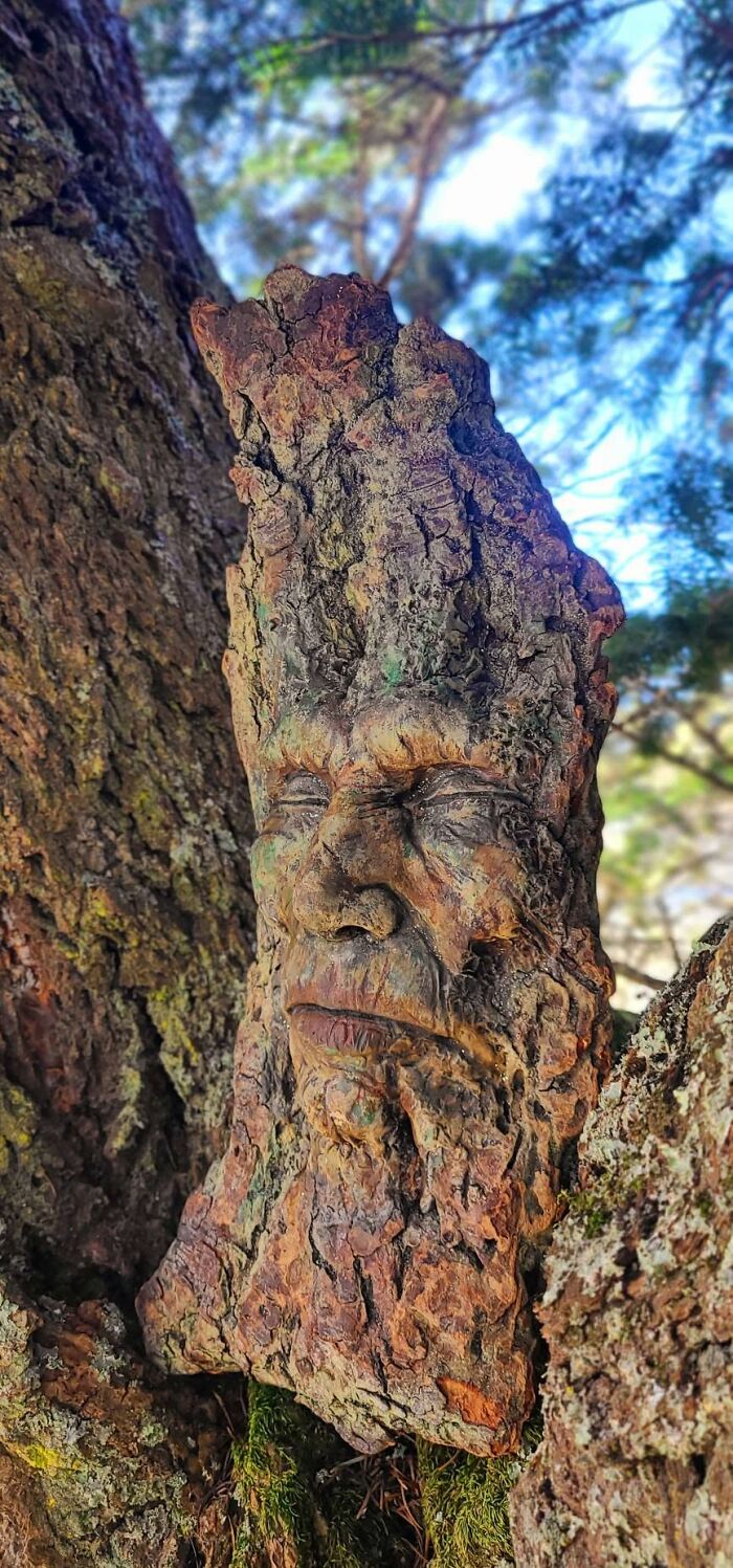 Through Her Beautiful Driftwood Sculptures, This Artist Seeks To Highlight The Unity Of Human Beings With Nature (28 New Pics) Through Her Beautiful Driftwood Sculptures, This Artist Seeks To Highlight The Unity Of Human Beings With Nature (28 New Pics)