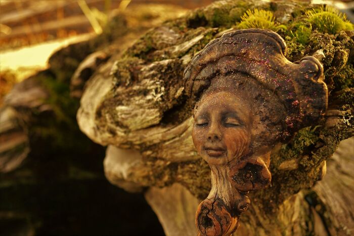 Through Her Beautiful Driftwood Sculptures, This Artist Seeks To Highlight The Unity Of Human Beings With Nature (28 New Pics) Through Her Beautiful Driftwood Sculptures, This Artist Seeks To Highlight The Unity Of Human Beings With Nature (28 New Pics)