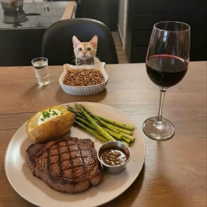 63 Funny And Cute Cat Photos That Might Make You Smile Today (New Pics) 63 Funny And Cute Cat Photos That Might Make You Smile Today (New Pics)