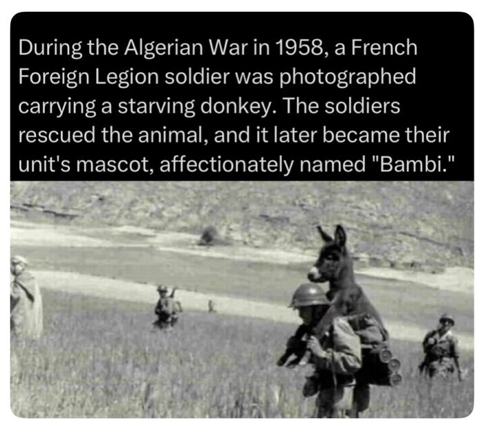 71 Posts About History You Probably Have Never Seen Before: “Explaining All Wars”