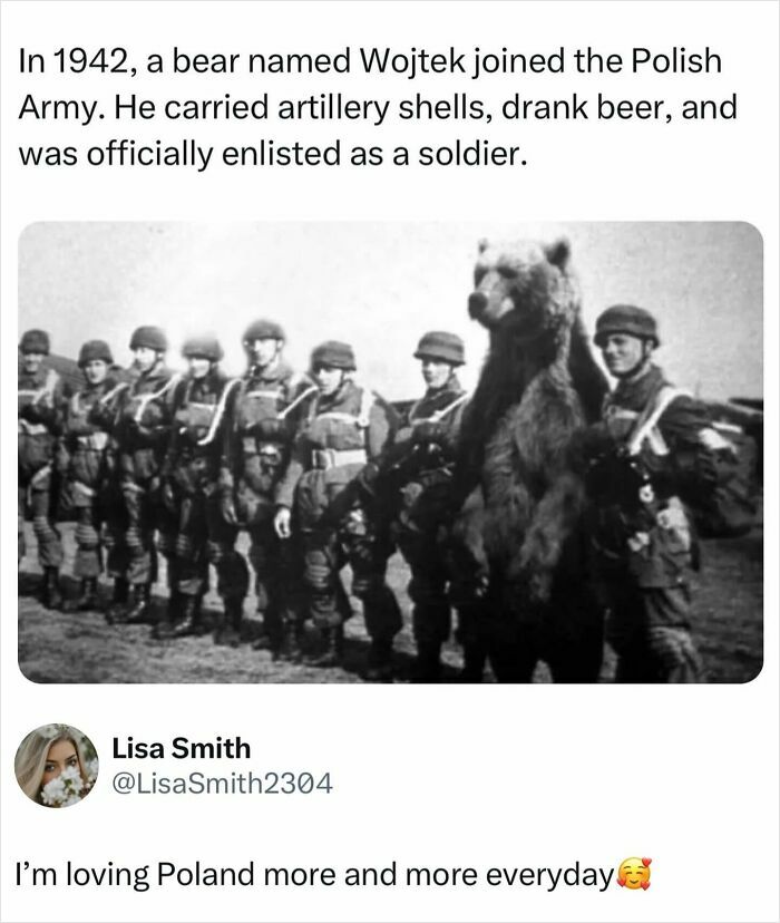 71 Posts About History You Probably Have Never Seen Before: “Explaining All Wars”
