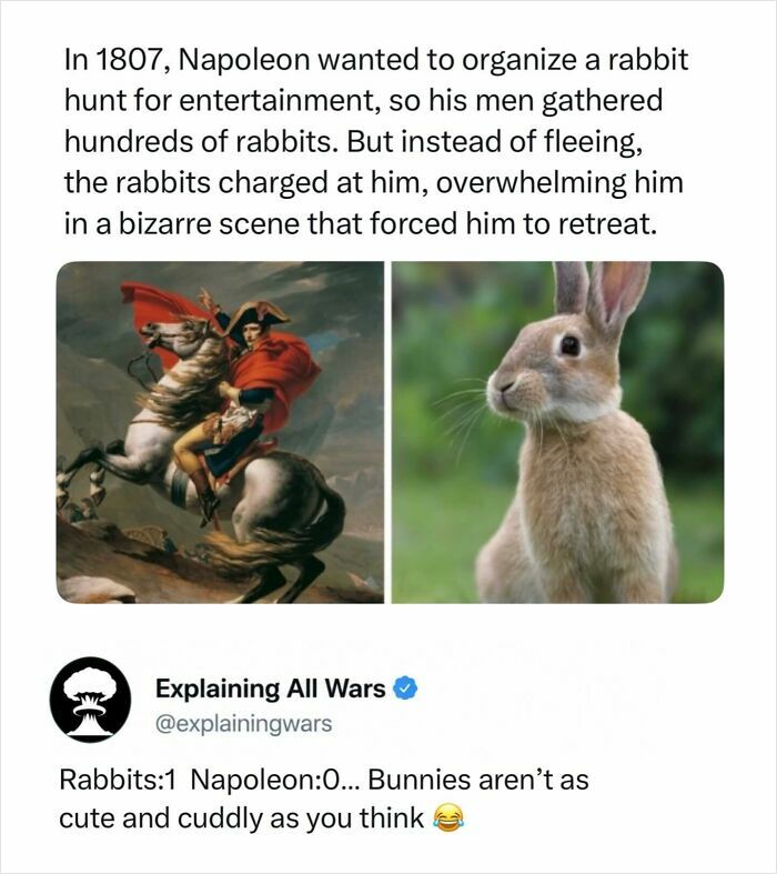 71 Posts About History You Probably Have Never Seen Before: “Explaining All Wars”