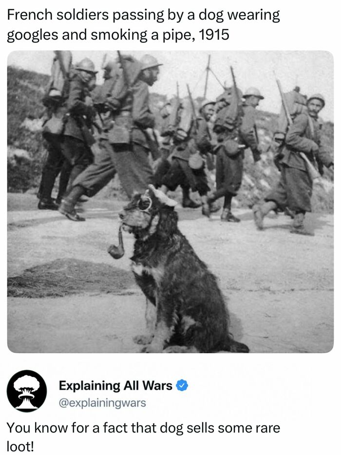 71 Posts About History You Probably Have Never Seen Before: “Explaining All Wars”