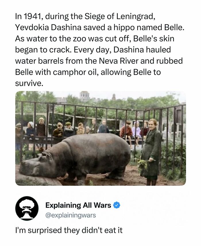 71 Posts About History You Probably Have Never Seen Before: “Explaining All Wars”