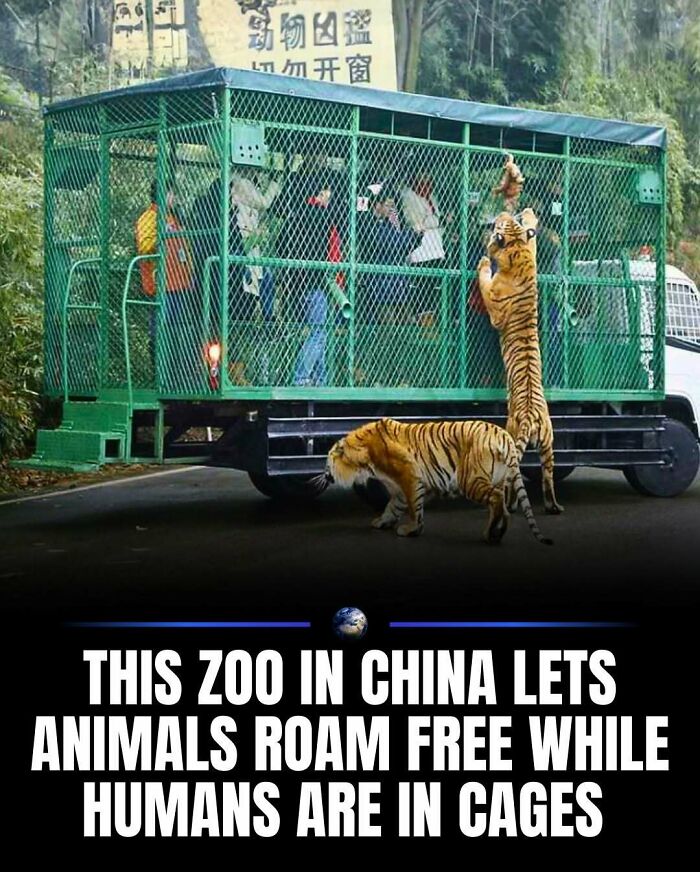 97 Posts About Humanity And Our Planet That Might Teach You Something New