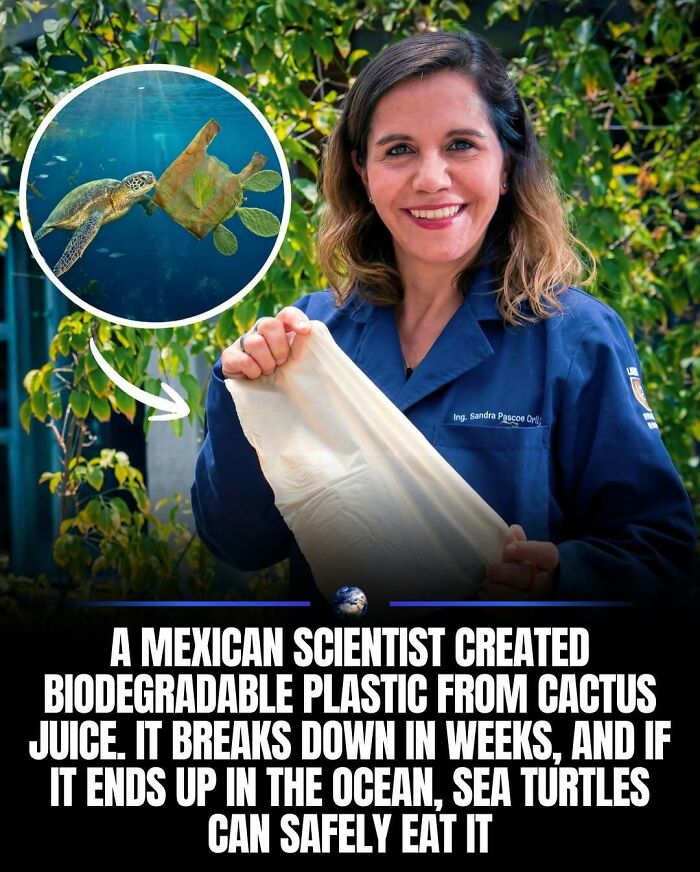 97 Posts About Humanity And Our Planet That Might Teach You Something New