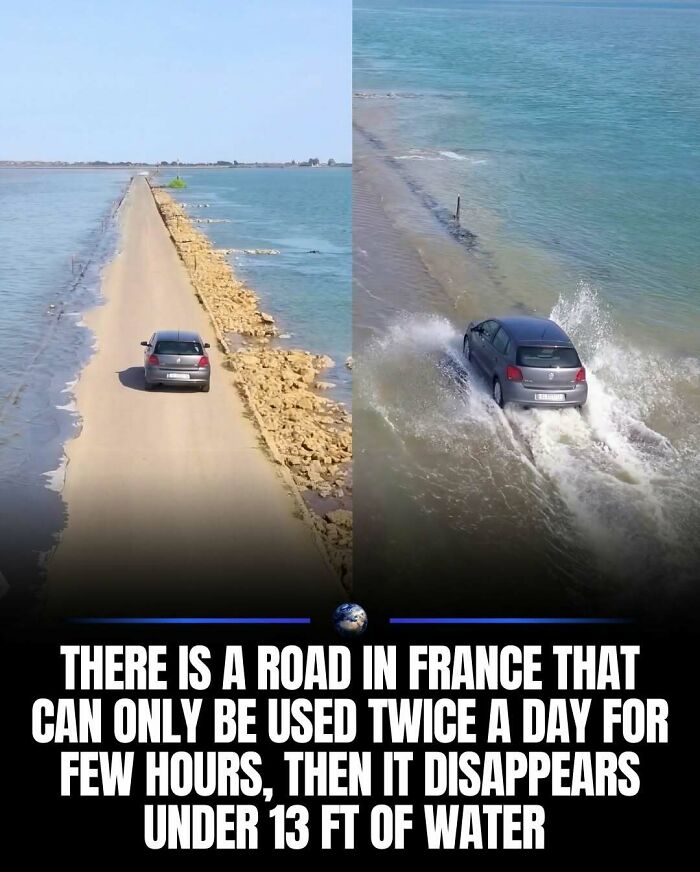 97 Posts About Humanity And Our Planet That Might Teach You Something New