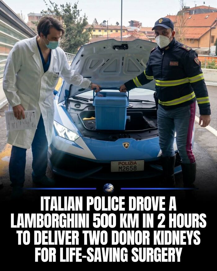 97 Posts About Humanity And Our Planet That Might Teach You Something New