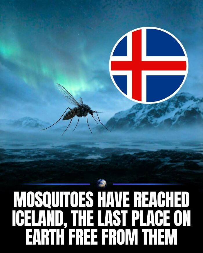 97 Posts About Humanity And Our Planet That Might Teach You Something New
