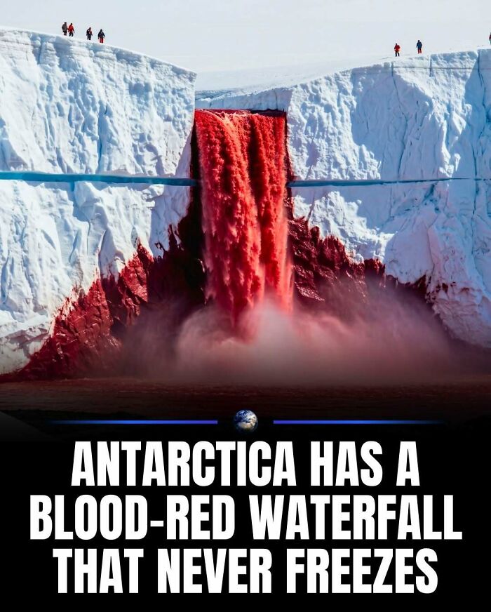 97 Posts About Humanity And Our Planet That Might Teach You Something New