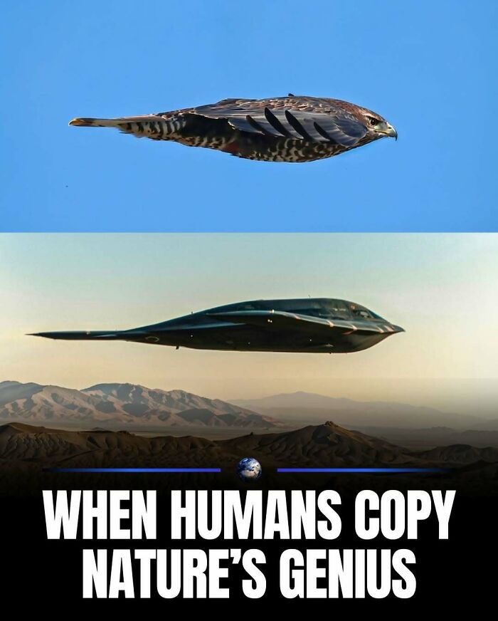 97 Posts About Humanity And Our Planet That Might Teach You Something New