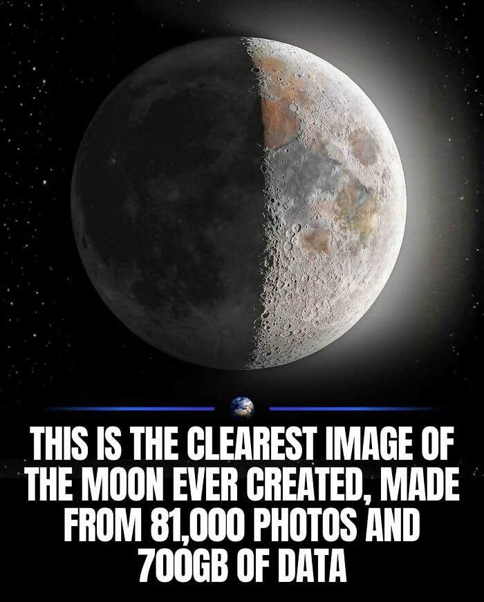 97 Posts About Humanity And Our Planet That Might Teach You Something New