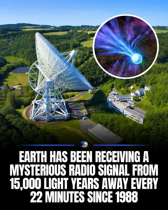 97 Posts About Humanity And Our Planet That Might Teach You Something New