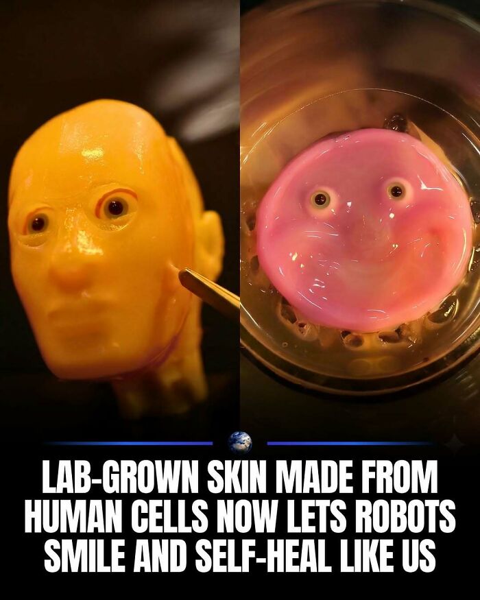 97 Posts About Humanity And Our Planet That Might Teach You Something New