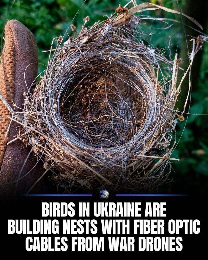 97 Posts About Humanity And Our Planet That Might Teach You Something New
