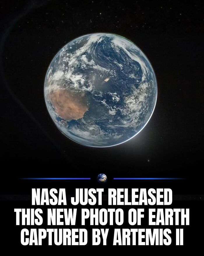 97 Posts About Humanity And Our Planet That Might Teach You Something New