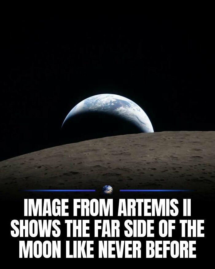 97 Posts About Humanity And Our Planet That Might Teach You Something New