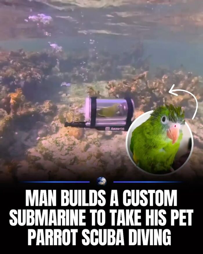 97 Posts About Humanity And Our Planet That Might Teach You Something New
