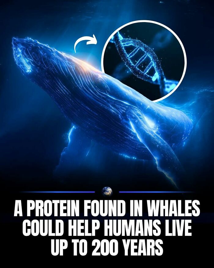 97 Posts About Humanity And Our Planet That Might Teach You Something New