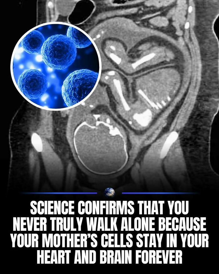 97 Posts About Humanity And Our Planet That Might Teach You Something New