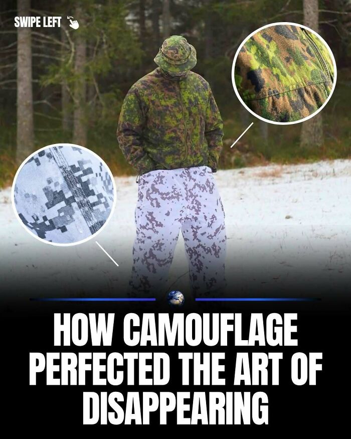 97 Posts About Humanity And Our Planet That Might Teach You Something New