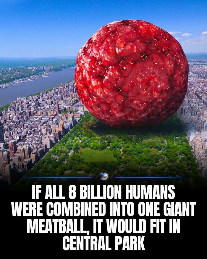 97 Posts About Humanity And Our Planet That Might Teach You Something New