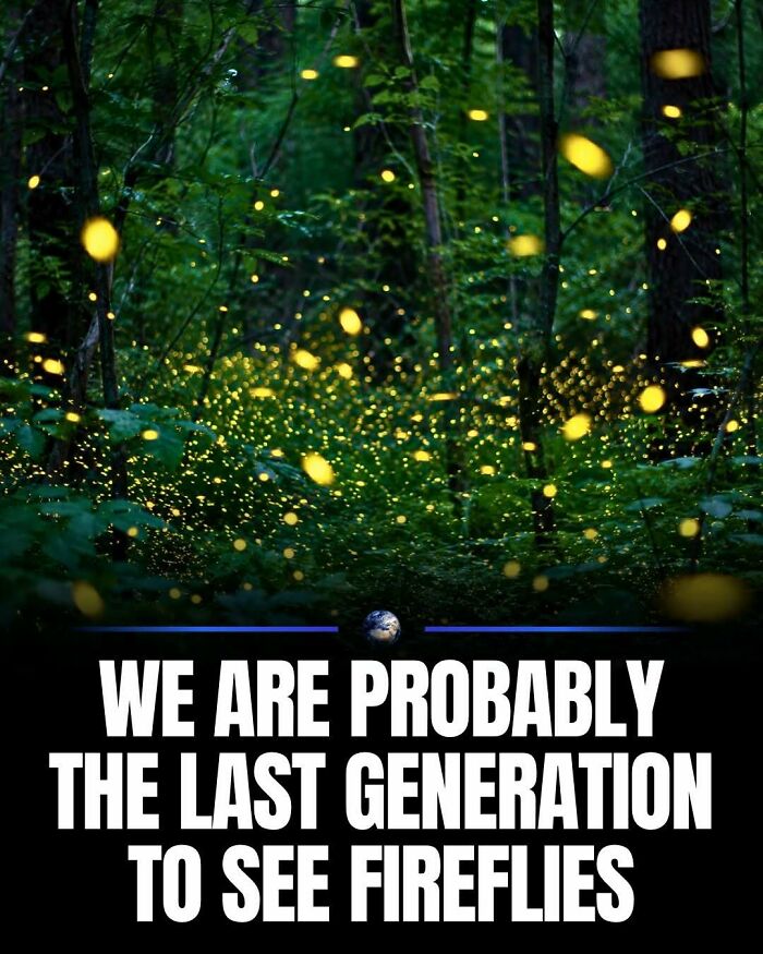 97 Posts About Humanity And Our Planet That Might Teach You Something New