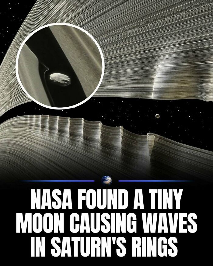 97 Posts About Humanity And Our Planet That Might Teach You Something New