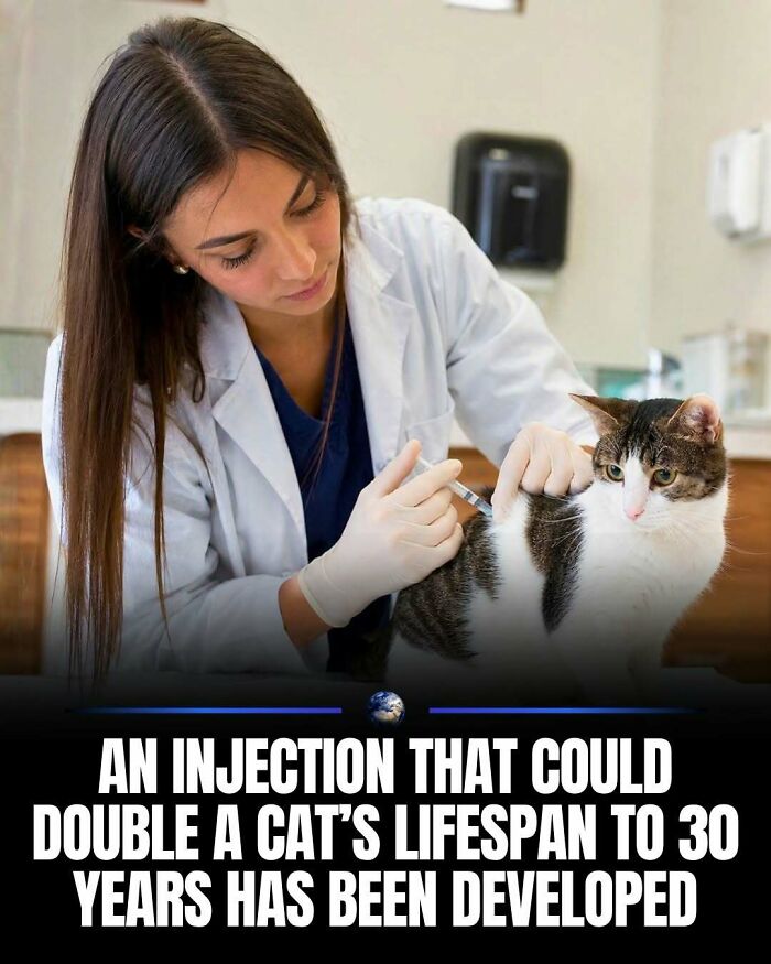 97 Posts About Humanity And Our Planet That Might Teach You Something New