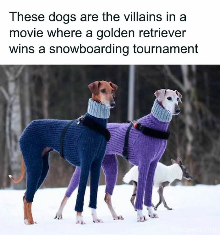 55 Miscellaneous Posts That Might Entertain You When You Get Bored At Work