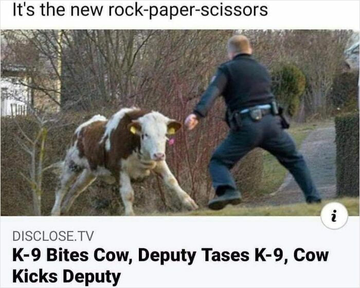 55 Miscellaneous Posts That Might Entertain You When You Get Bored At Work