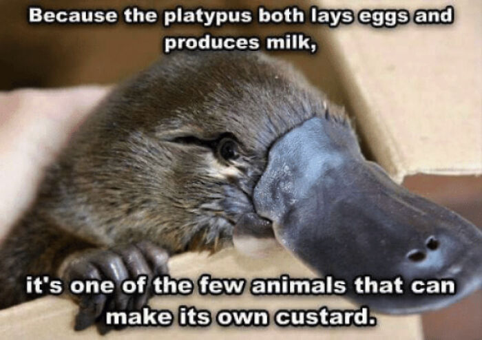 55 Miscellaneous Posts That Might Entertain You When You Get Bored At Work