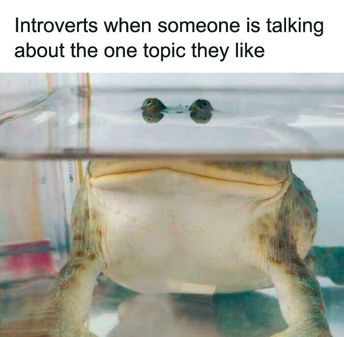 55 Miscellaneous Posts That Might Entertain You When You Get Bored At Work