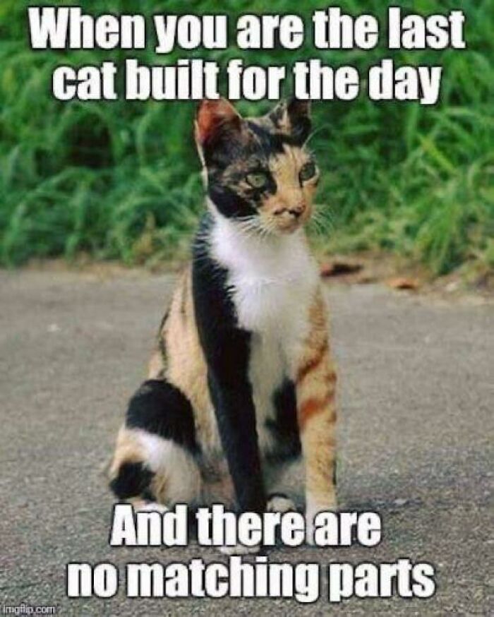 55 Miscellaneous Posts That Might Entertain You When You Get Bored At Work