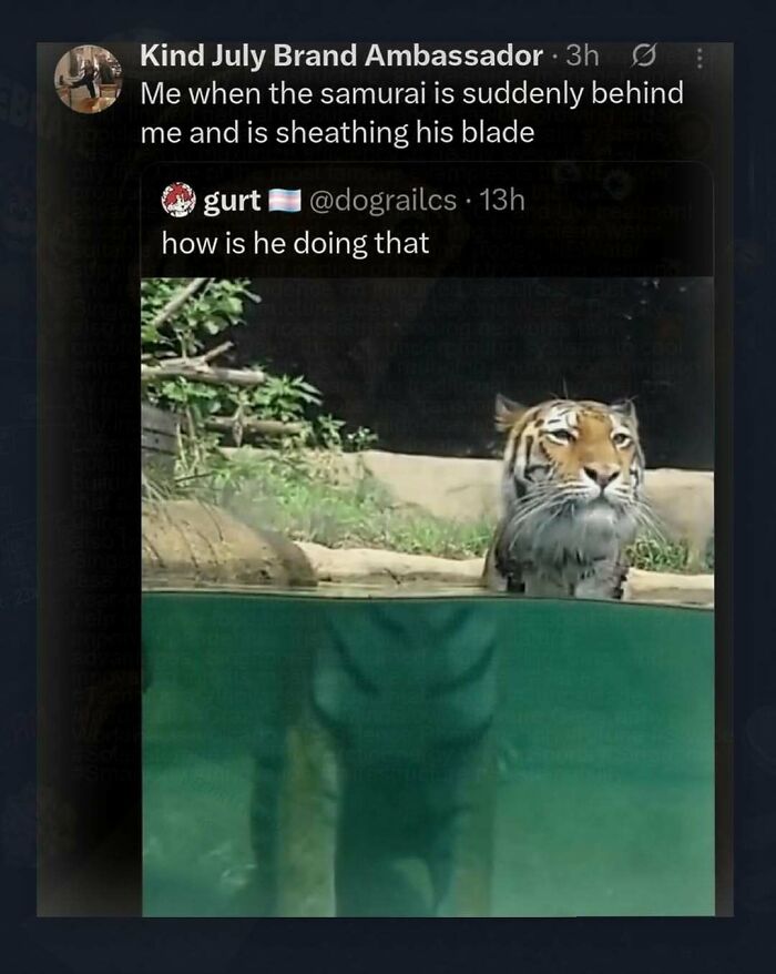Thousands Of People Follow This Page For Its Chaotic And Unhinged Pics, Here Are 67 Of The Best Ones
